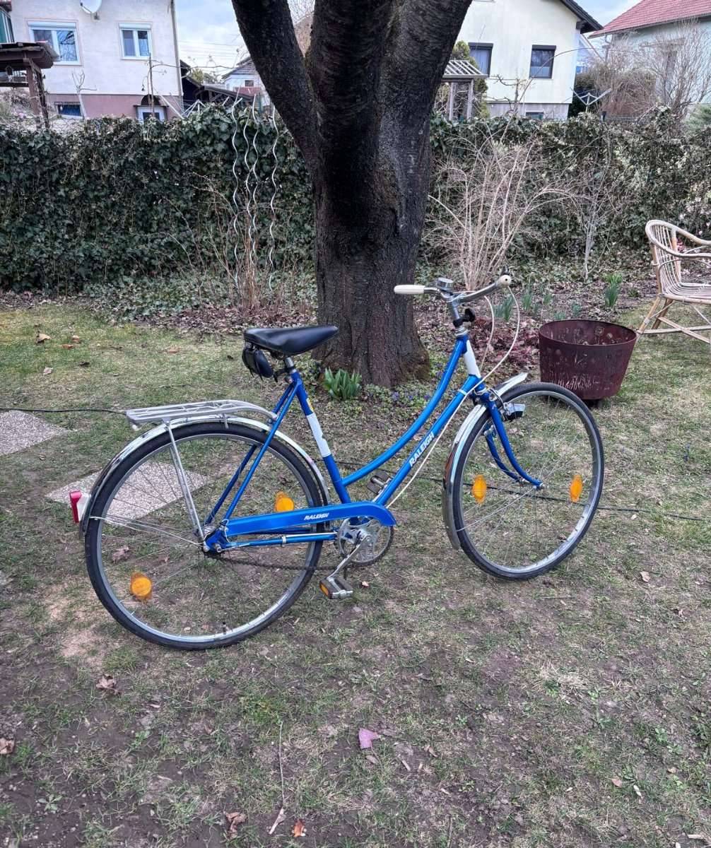 retro damenrad Excelsior Vintage D Cityrad Damenrad 28 Zoll, 8-Gang Shimano Claris –  alexanderad.de main image 1
