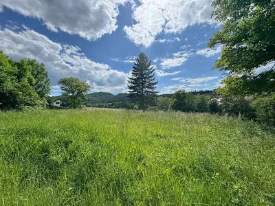 Grundstück kaufen in Südoststeiermark – 2 500 m², € 125.000 – Bild 3 von 17