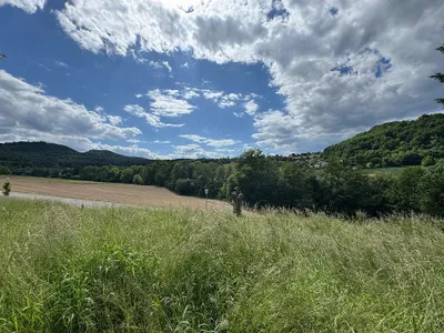 Grundstück kaufen in Südoststeiermark – 2 500 m², € 125.000 – Bild 5 von 17