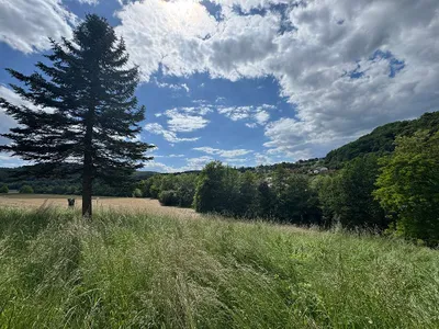 Grundstück kaufen in Südoststeiermark – 2 500 m², € 125.000 – Bild 13 von 17