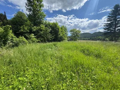 Grundstück kaufen in Südoststeiermark – 2 500 m², € 125.000 – Bild 2 von 17