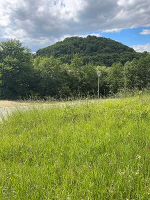 Grundstück kaufen in Südoststeiermark – 2 500 m², € 125.000 – Bild 14 von 17