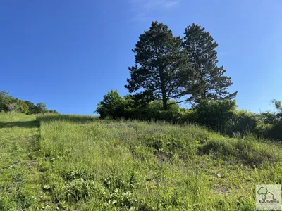 Grundstück kaufen in Tulln – 1 400 m², € 890.000 – Bild 14 von 24