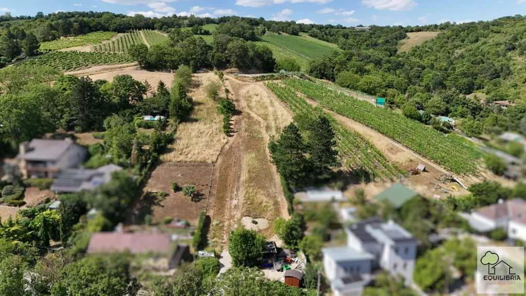 TRAUMHAFTER VILLENGRUND IN SONNIGER SÜDRUHELAGE MIT ATEMBERAUBENDEM WEITBLICK-KLOSTERNEUBURG-WEIDLING ! - View 3