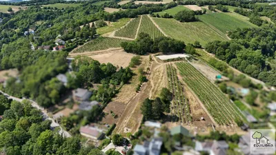 Grundstück kaufen in Tulln – 1 400 m², € 890.000 – Bild 5 von 24