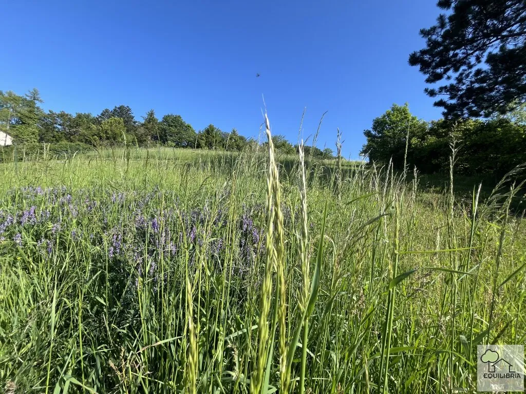 TRAUMHAFTER VILLENGRUND IN SONNIGER SÜDRUHELAGE MIT ATEMBERAUBENDEM WEITBLICK-KLOSTERNEUBURG-WEIDLING ! – pohled 3