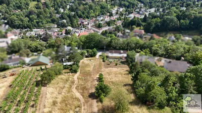 Grundstück kaufen in Tulln – 1 400 m², € 890.000 – Bild 3 von 24