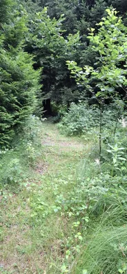 Grundstück kaufen in Amstetten – 2 229 m², € 45.000 – Bild 3 von 4