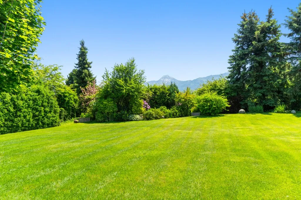 Exklusive Villa in Bestlage Villach-Vassach mit parkähnlichem Traumgrundstück - Widok 3