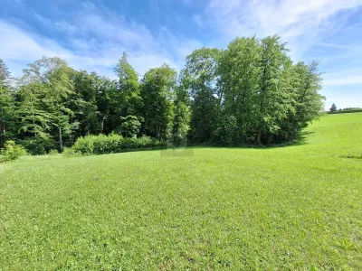 Grundstück kaufen in Steyr-Land – 1 633 m², € 359.260 – Bild 4 von 6