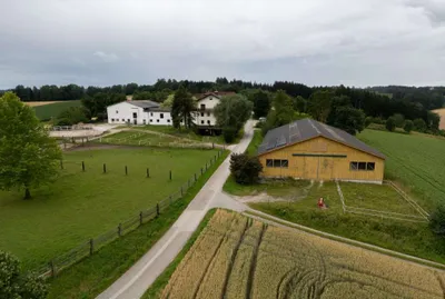 Grundstück kaufen in Wels-Land – 550 m² – Bild 2 von 31