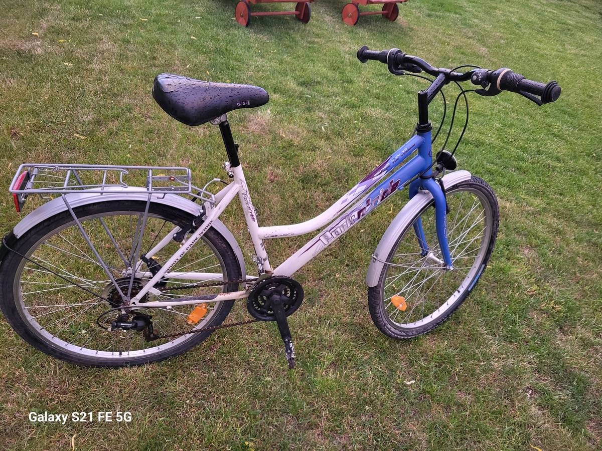 Damenfahrrad 26 Zoll,  60,- (2821 Lanzenkirchen) - willhaben