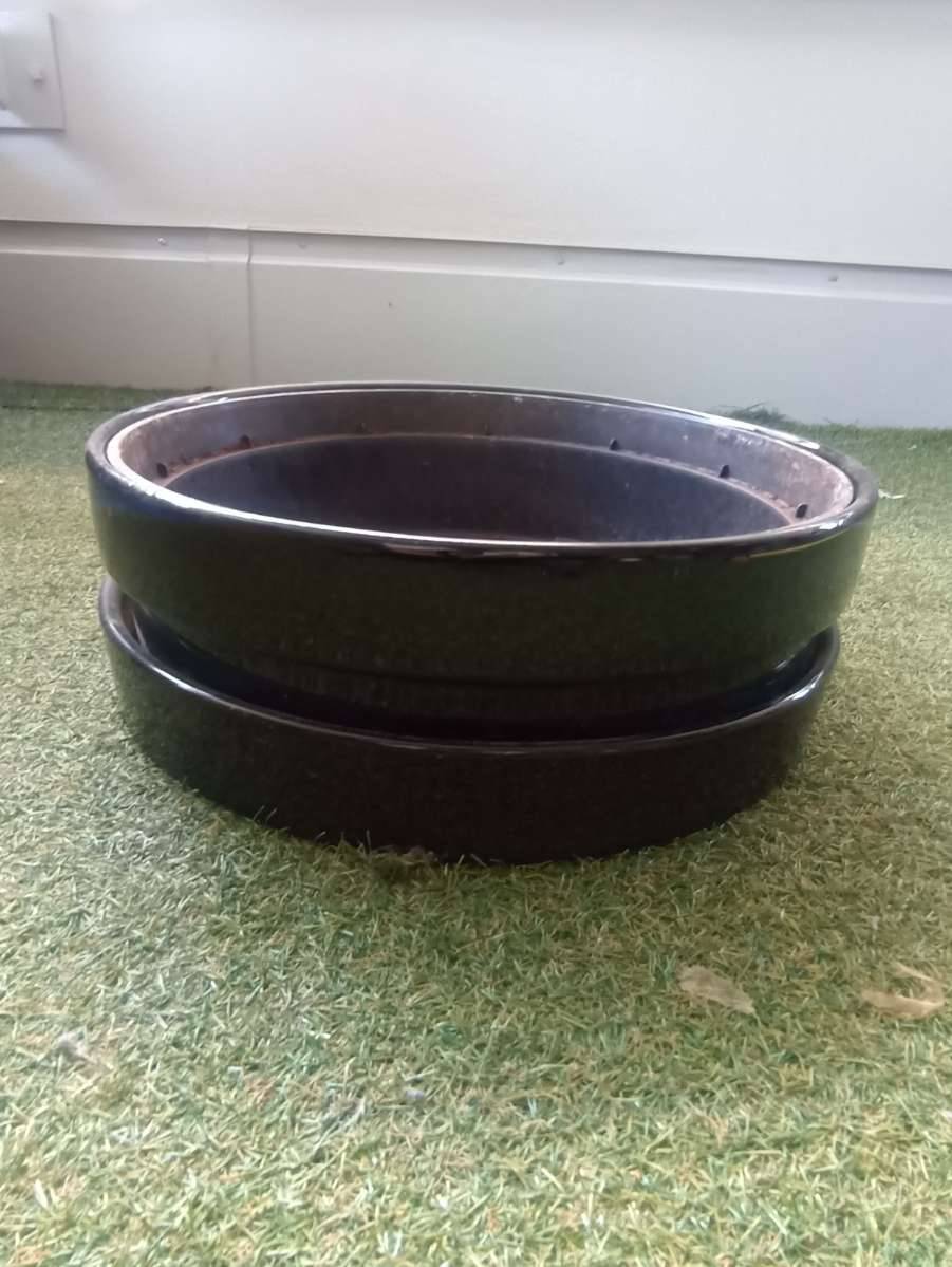 Bonsai-Topf 38 cm Durchmesser mit Unterteller,  20,- (1150 Wien) -  willhaben