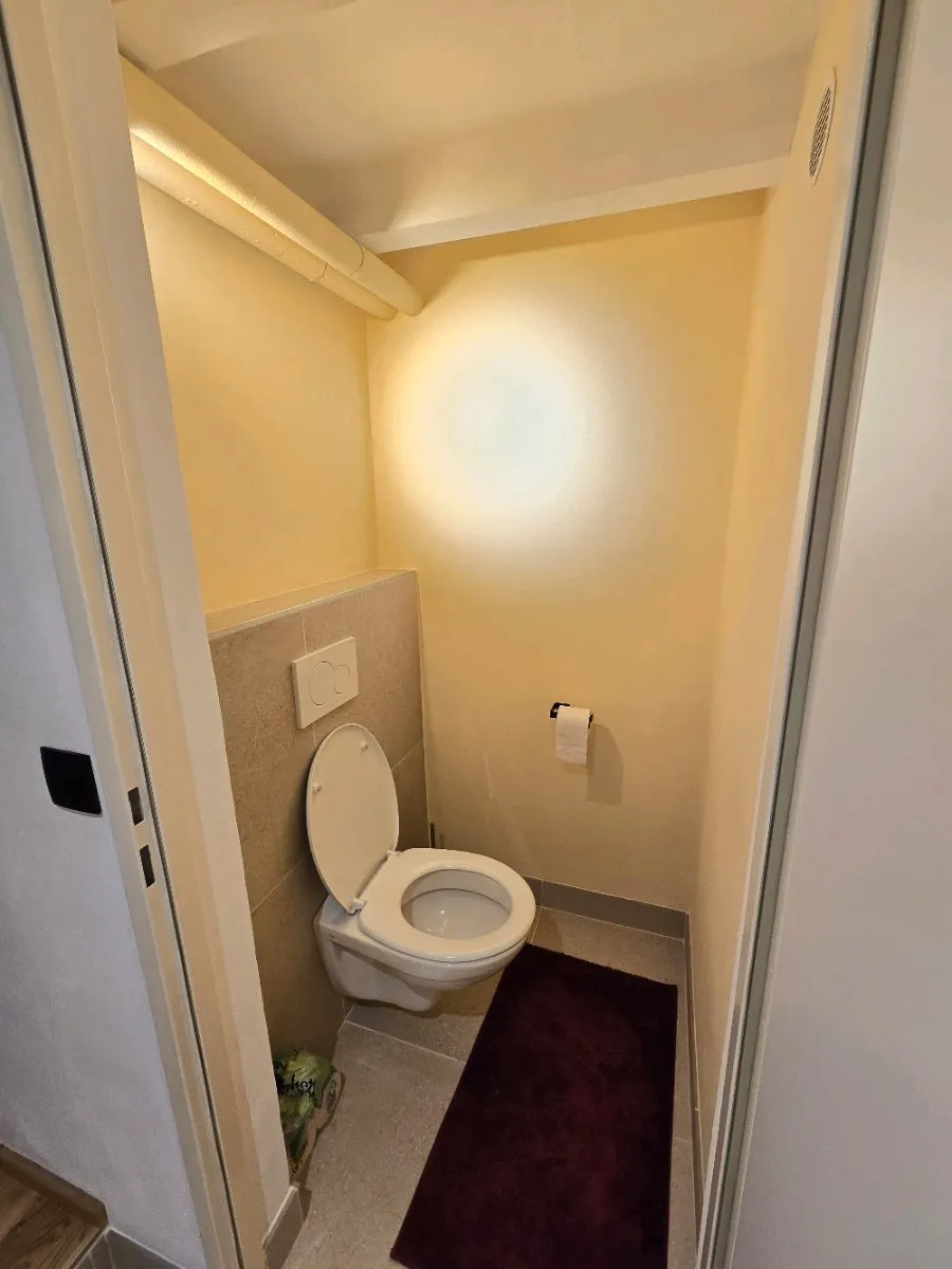 Helle Garconniere in herrlicher Ruhelage, 30m² - Ansicht 3