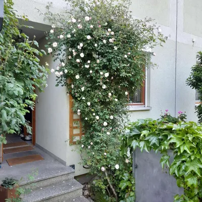 5-Zimmer-Haus kaufen in Sankt Pölten – 140 m², € 540.000 – Bild 1 von 29