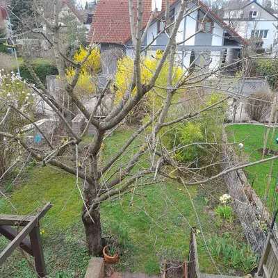 5-Zimmer-Haus kaufen in Sankt Pölten – 140 m², € 540.000 – Bild 5 von 29