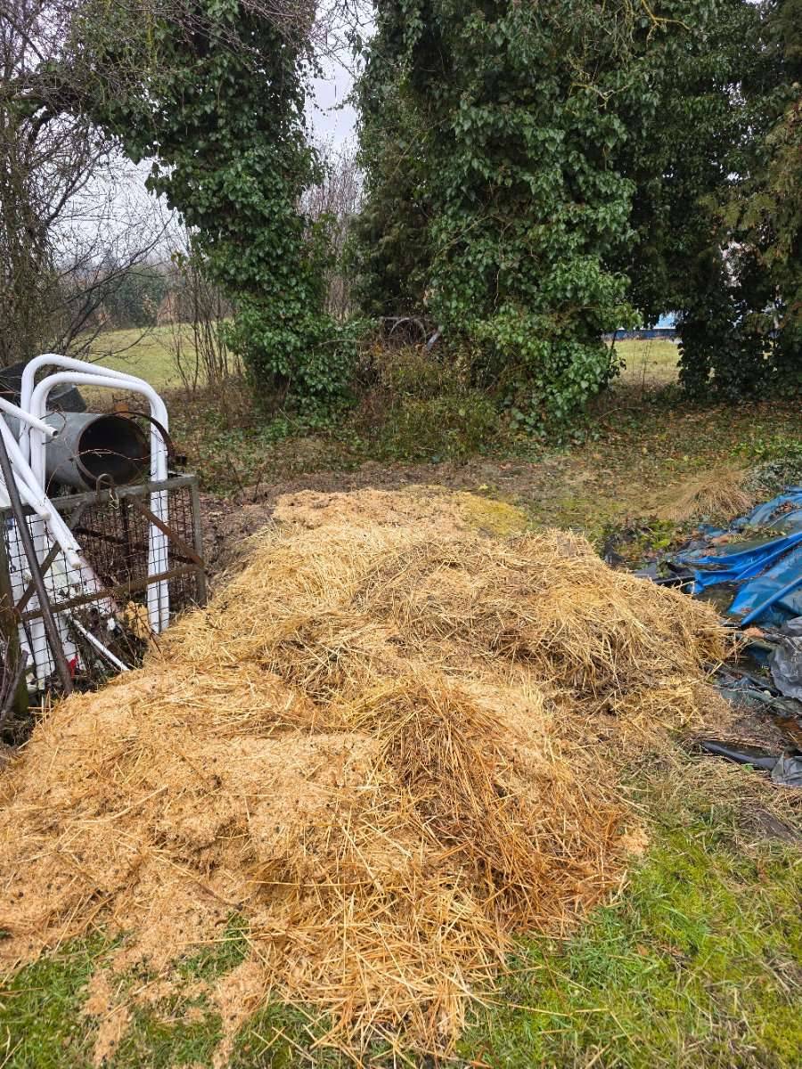Enten- & Kaninchenmist als super Dnger zu verschenken,  0,- (2136 Laa an  der Thaya) - willhaben