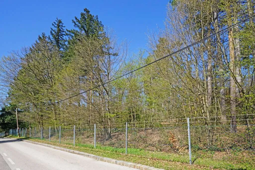 Villengrundstück in Waldrandruhelage zwischen Wolfersberg und Kolbeterberg - Ansicht 3
