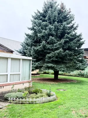 Haus kaufen in Gänserndorf – 128 m², € 285.000 – Bild 5 von 26