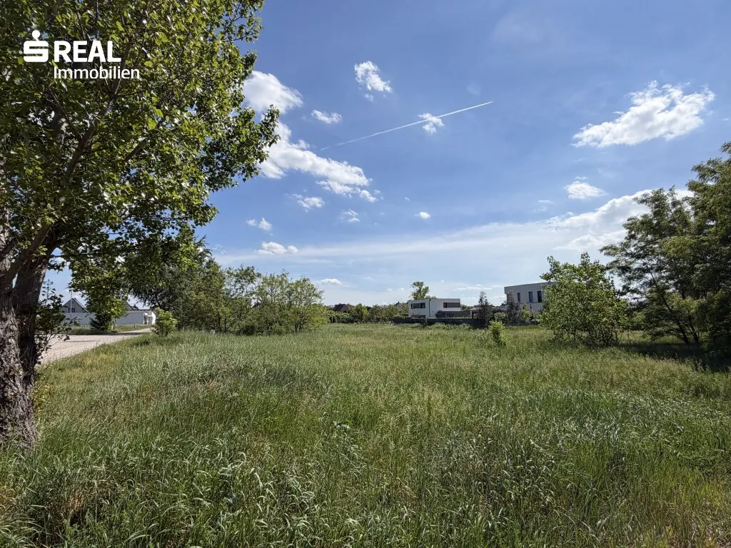 Baugrundstück 612m² in 7100 Neusiedl am See - Ihr Traumgrundstück im Burgenland! - Ansicht 2
