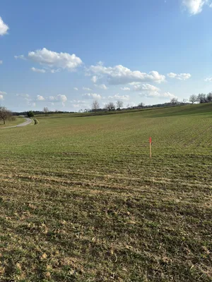 Grundstück kaufen in Güssing – 2 900 m², € 71.999 – Bild 10 von 11