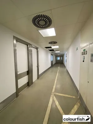 Gewerbeimmobilie mieten in Wien – 134 m², € 2.081 – Bild 3 von 6