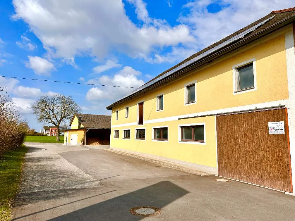 Zentrale Lagerhalle im Enns-Donau-Winkel - Ansicht 2