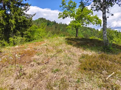 Grundstück kaufen in Feldkirchen – 1 370 m², € 70.000 – Bild 4 von 8