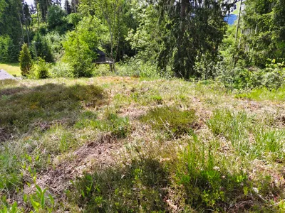 Grundstück kaufen in Feldkirchen – 1 370 m², € 70.000 – Bild 2 von 8