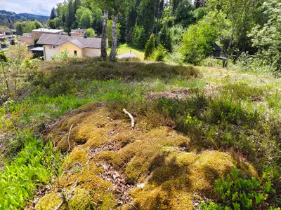 Grundstück kaufen in Feldkirchen – 1 370 m², € 70.000