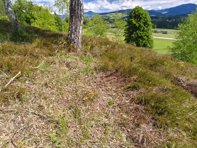 Grundstück kaufen in Feldkirchen – 1 370 m², € 70.000 – Bild 3 von 8