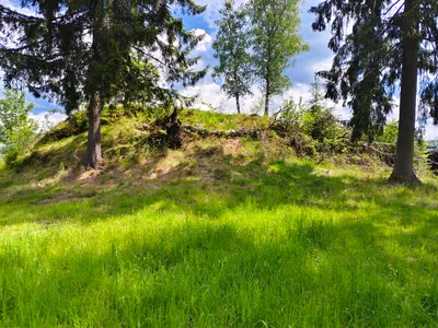 Grundstück kaufen in Feldkirchen – 1 370 m², € 70.000 – Bild 6 von 8