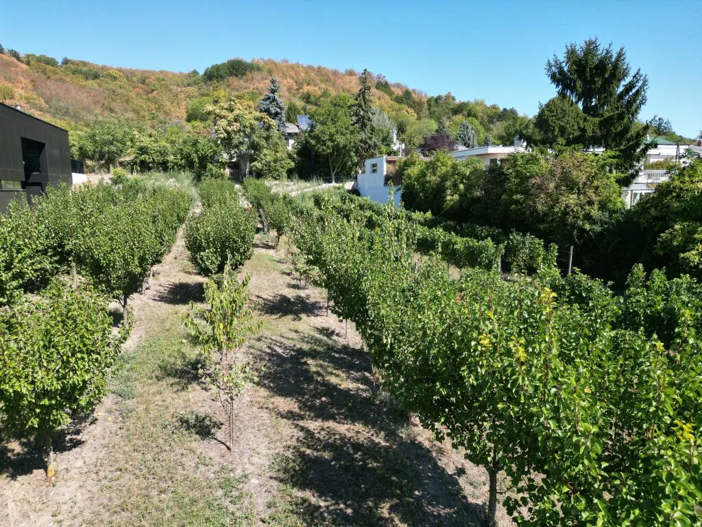 Villenbaugrund in der Langenzersdorfer Kellergasse am Fuße des Bisambergs - Ansicht 2