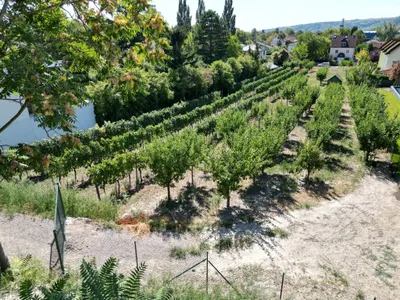 Grundstück kaufen in Korneuburg – 1 335 m², € 1.199.000 – Bild 3 von 5