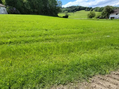 Grundstück kaufen in Ried im Innkreis – 2 300 m², € 75 – Bild 4 von 5