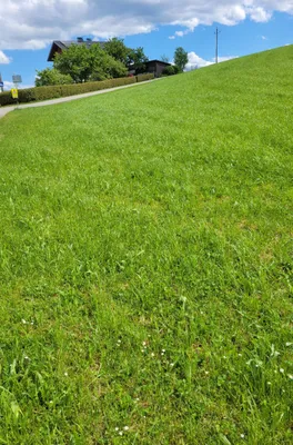 Grundstück kaufen in Ried im Innkreis – 2 300 m², € 75