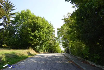 Grundstück kaufen in Mödling – 500 m², € 399.000 – Bild 4 von 5