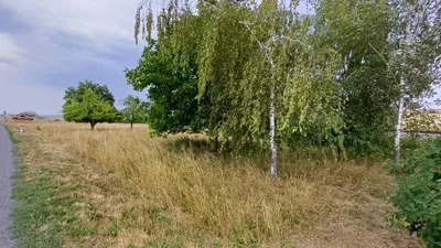 Grundstück kaufen in Horn – 575 m², € 5.000 – Bild 2 von 21