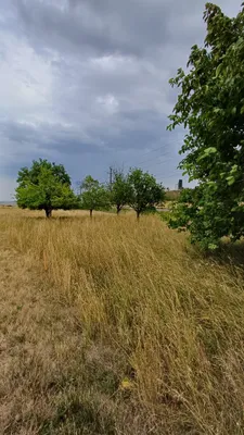 Grundstück kaufen in Horn – 575 m², € 5.000 – Bild 3 von 21