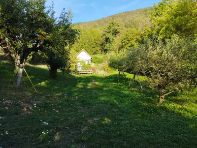Immobilie mieten in Graz-Umgebung – 600 m², € 2.500 – Bild 10 von 18