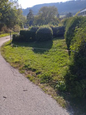 Immobilie mieten in Graz-Umgebung – 600 m², € 2.500 – Bild 11 von 18