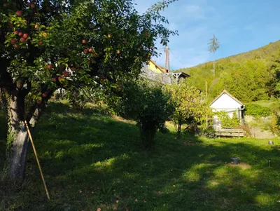 Immobilie mieten in Graz-Umgebung – 600 m², € 2.500 – Bild 8 von 18