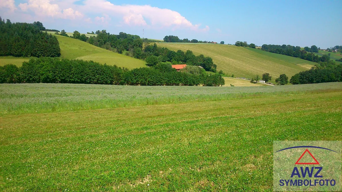 Grundstück für ihr individuelles Wohnprojekt in Altenberg bei Linz! - Widok 3