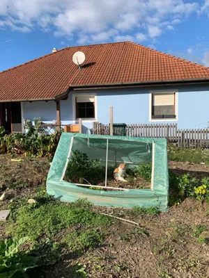 1-Zimmer-Haus mieten in Tulln – 16 m², € 400 – Bild 18 von 21