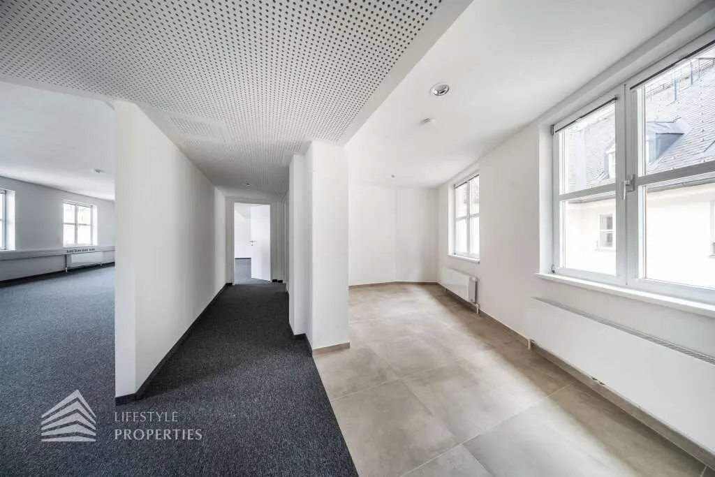 Erstbezug! Geräumiges 4-Zimmer Büro in Toplage - Ansicht 3