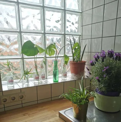 6-Zimmer-Wohnung mieten in Sankt Pölten Land – 174 m², € 1.260 – Bild 7 von 17
