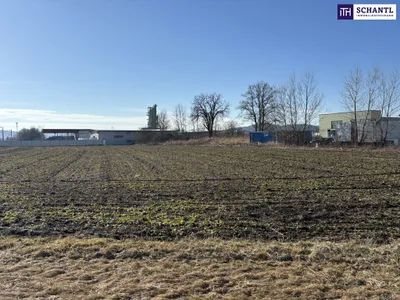 Immobilie mieten in Graz-Umgebung – 13 900 m², € 13.900 – Bild 9 von 14