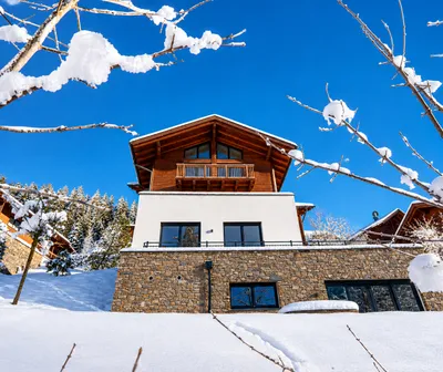 4-Zimmer-Immobilie kaufen in Sankt Johann im Pongau – 441 m², € 2.800.000 – Bild 3 von 11
