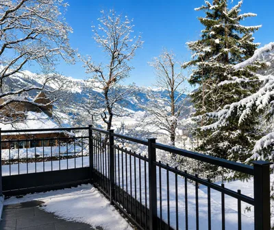 4-Zimmer-Immobilie kaufen in Sankt Johann im Pongau – 441 m², € 2.800.000 – Bild 8 von 11