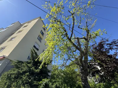 2-Zimmer-Wohnung kaufen in Wien – 52,3 m², € 229.000 – Bild 4 von 17